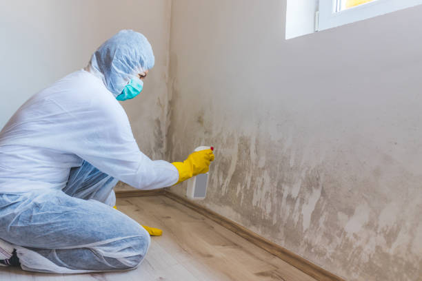 Licensed Commercial Mold Remediation service in Oregon, OR - WQB Mold Removal