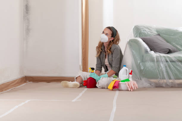 Reliable Commercial Mold Remediation contractor in Oregon, OR by WQB Mold Removal